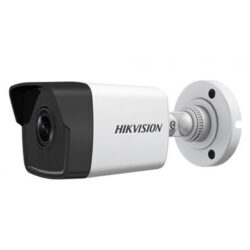 IP Cameras